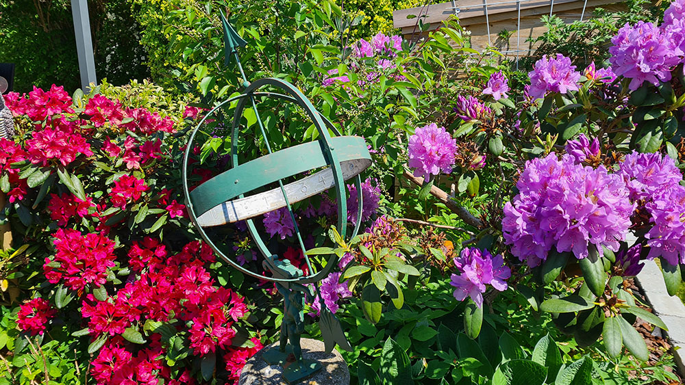 2021-06-06 14.11.17.jpg